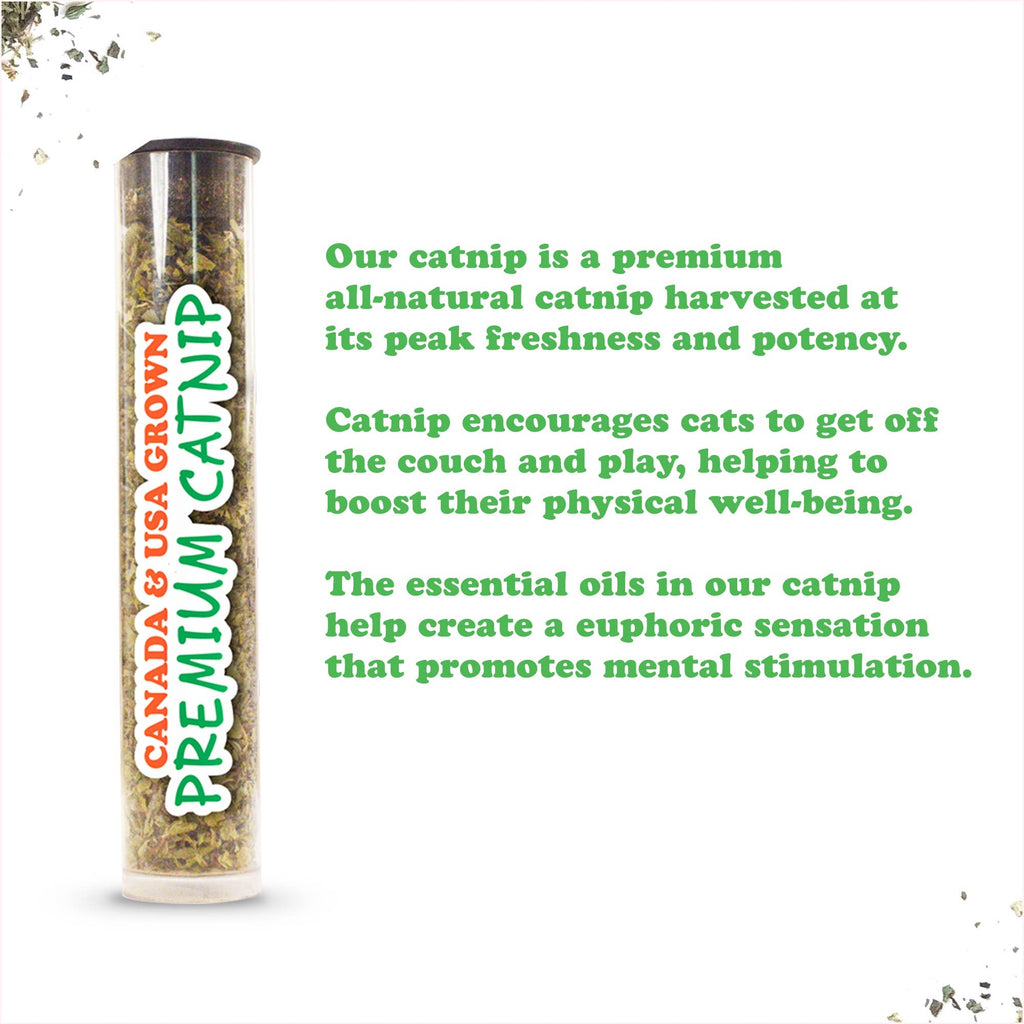 Meowijuana Get Kickin Spicy Pickle Kicker Cat Toy - Dog.Dog.Cat.