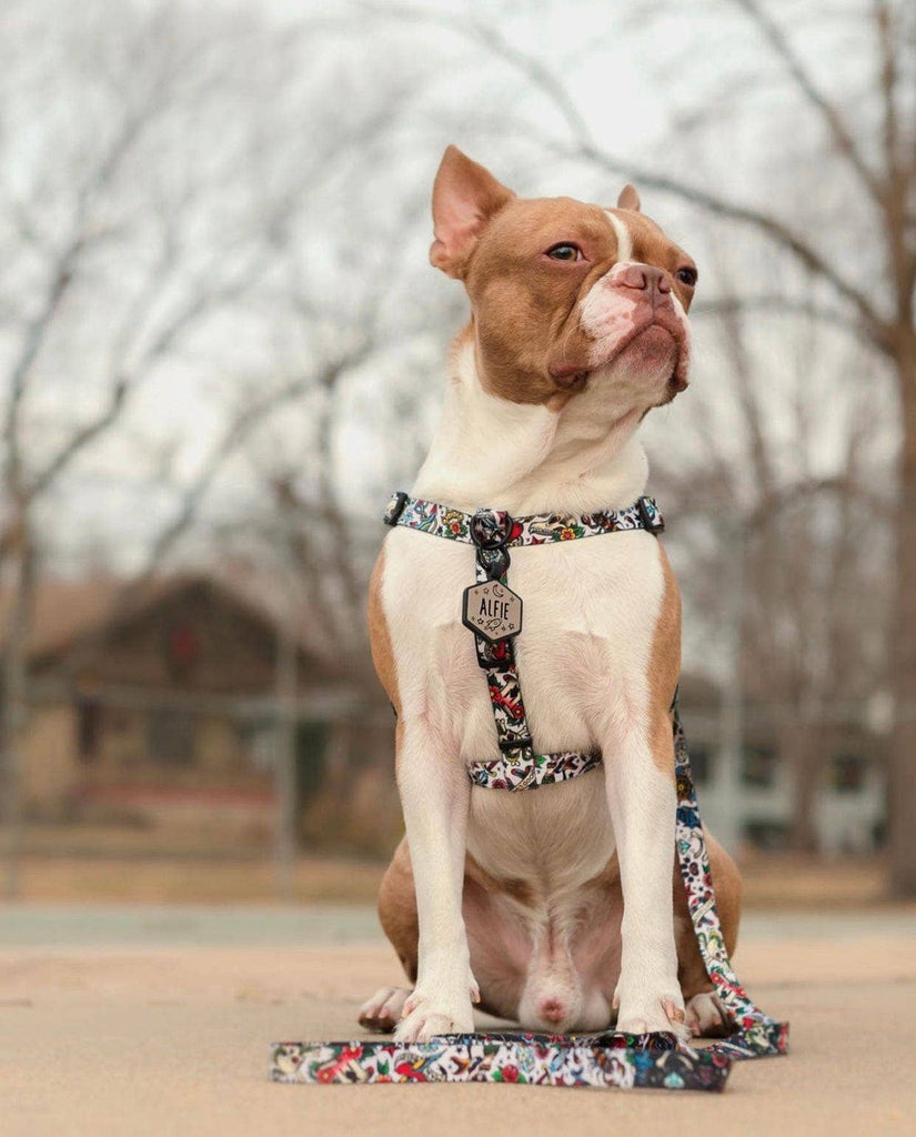 Besties Pets - Space Cadet Silicone Dog ID Tag: Chartreuse - Dog.Dog.Cat.