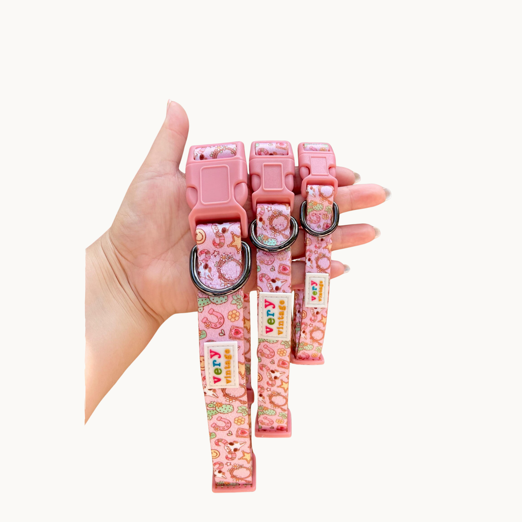 Pink Western Dog Collar – Cactus Cowgirl Lightweight Collar - Dog.Dog.Cat.