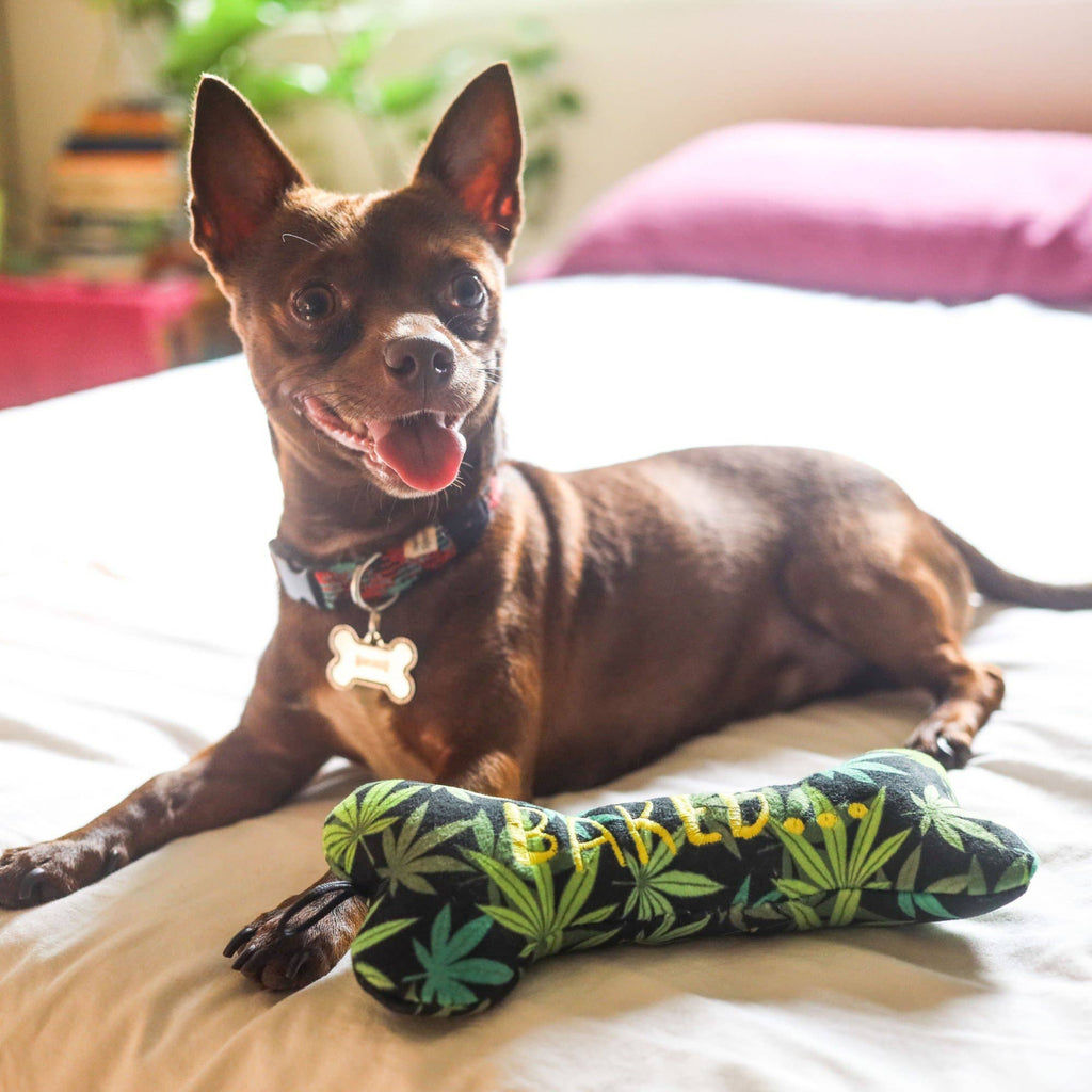 Baked Bone Dog Toy - Dog.Dog.Cat.