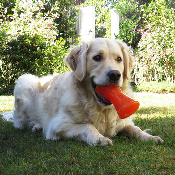 Bionic Dog Toys Tail Wagging Durability in a variety of shapes and sizes - Dog.Dog.Cat.
