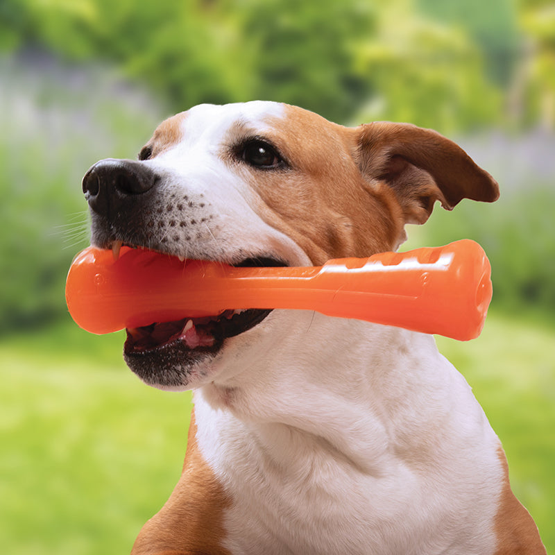 Bionic Dog Toys Tail Wagging Durability in a variety of shapes and sizes - Dog.Dog.Cat.