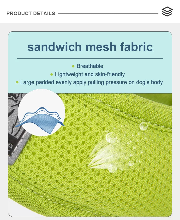 TrueLove Dog Harness TLH3013 - Malibu Blue - Dog.Dog.Cat.