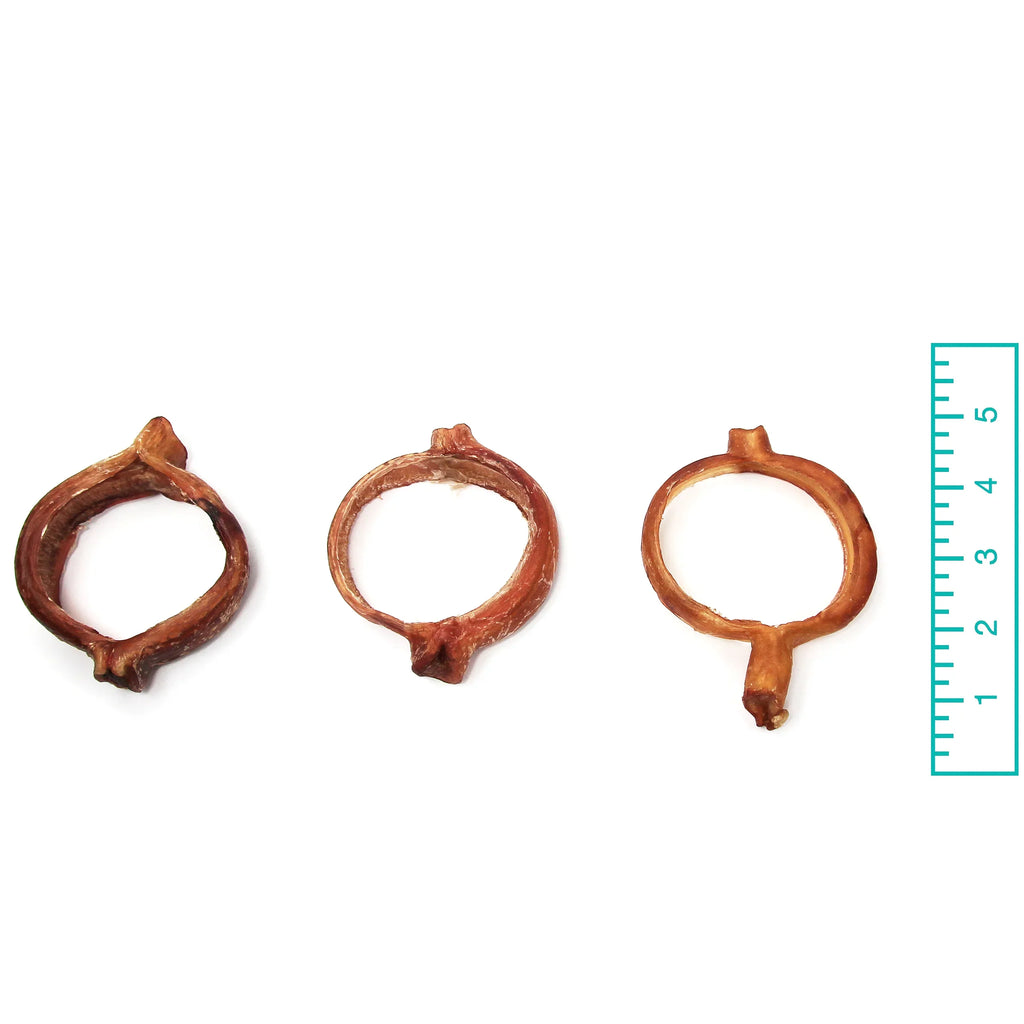 Bully Ring - 3" or 5" - Dog.Dog.Cat.