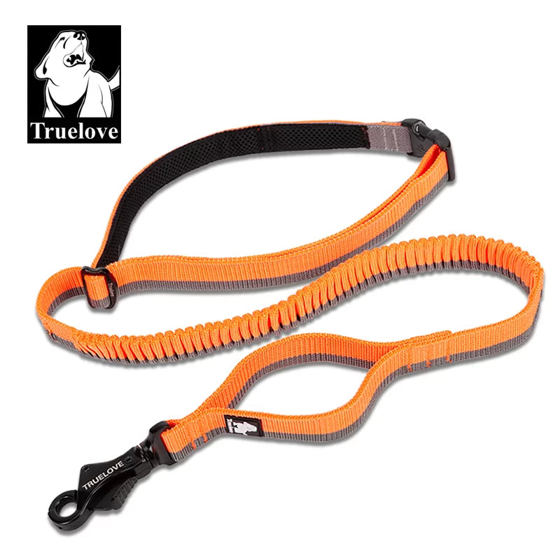 Truelove Nylon Bungee Dog Leash TLL2271 - Dog.Dog.Cat.