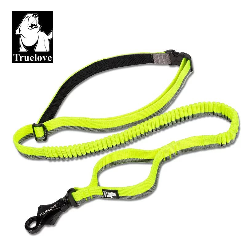 Truelove Nylon Bungee Dog Leash TLL2271 - Dog.Dog.Cat.