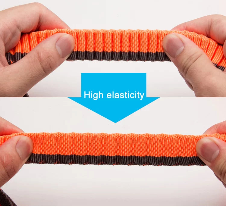 Truelove Nylon Bungee Dog Leash TLL2271 - Dog.Dog.Cat.