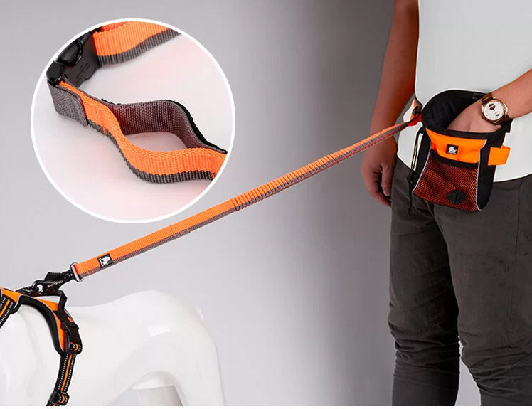 Truelove Nylon Bungee Dog Leash TLL2271 - Dog.Dog.Cat.