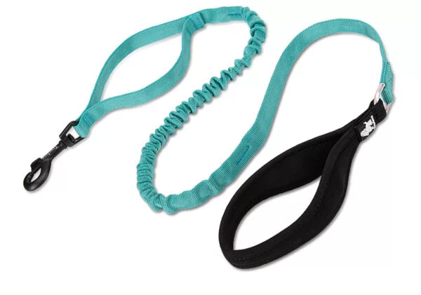 Truelove Durable Bungee Dog Leash TLL2281 - Dog.Dog.Cat.