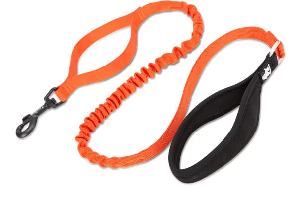 Orange bungee dog leash with soft  Neoprene Handle and traffic leash loop