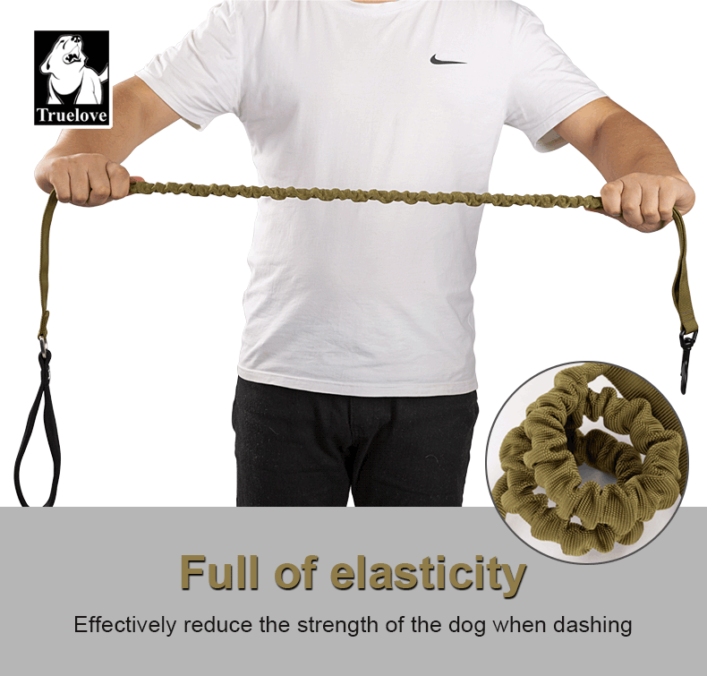 Truelove Durable Bungee Dog Leash TLL2281 - Dog.Dog.Cat.