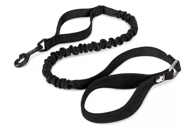 Black bungee dog leash with soft  Neoprene Handle and traffic leash loop