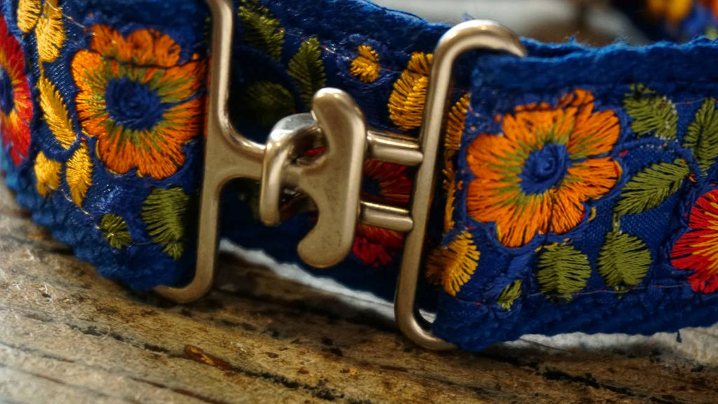 hundsfutter - “Summertime” wide collar for large and medium dogs - Dog.Dog.Cat.