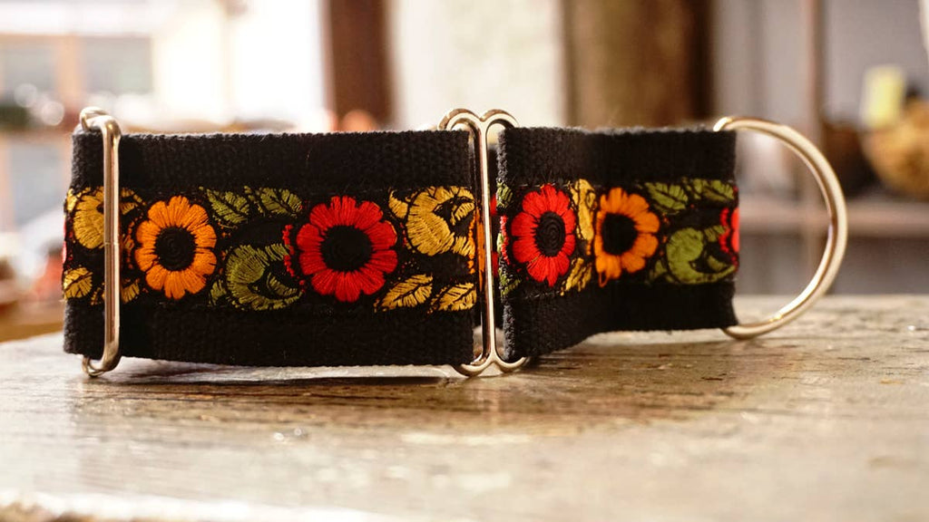 hundsfutter - Wide collar anti escape design - Dog.Dog.Cat.