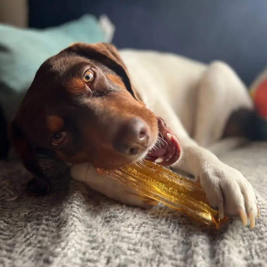 Mighty Marrows Collagen Dental Chew - Beef Liver - SM/LG - Dog.Dog.Cat.