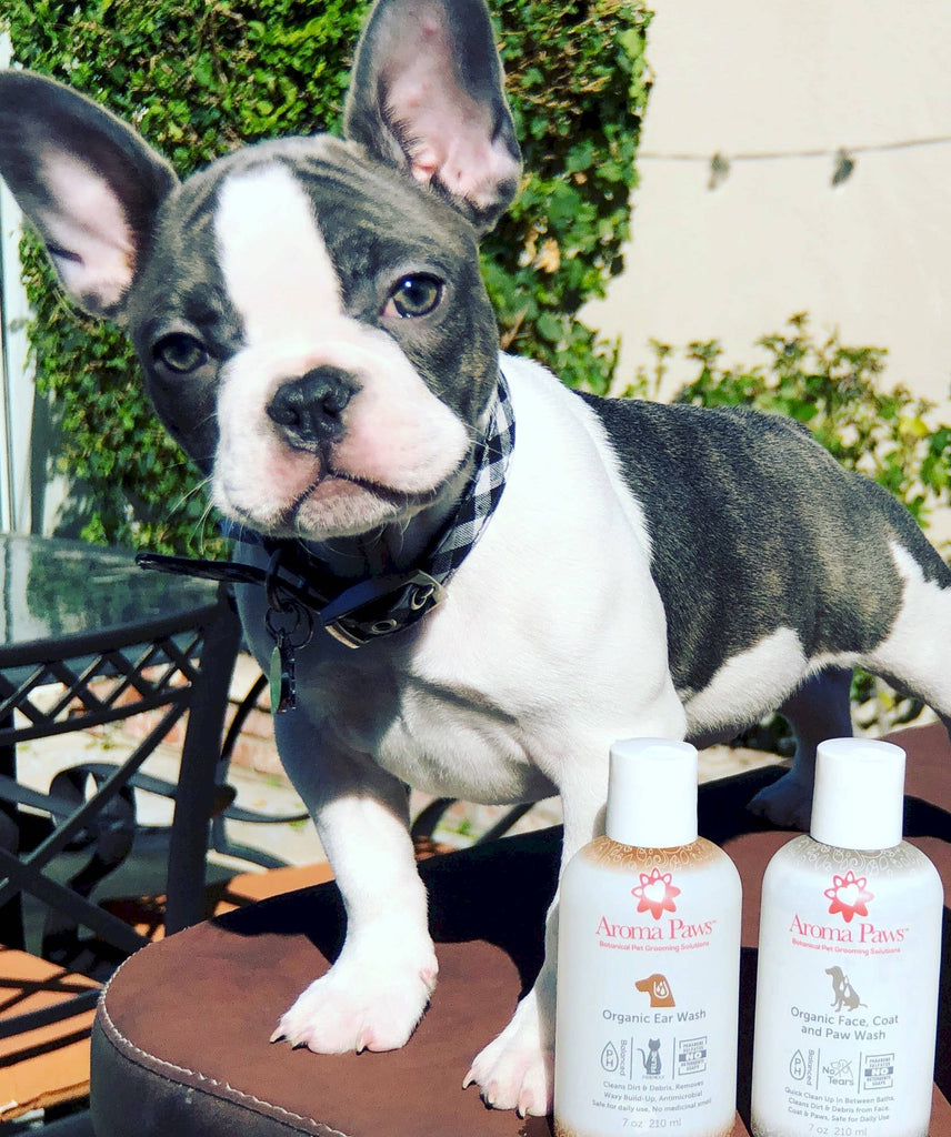 Aroma Paws - 7 Oz. Organic Face, Coat & Paw Wash - Dog.Dog.Cat.