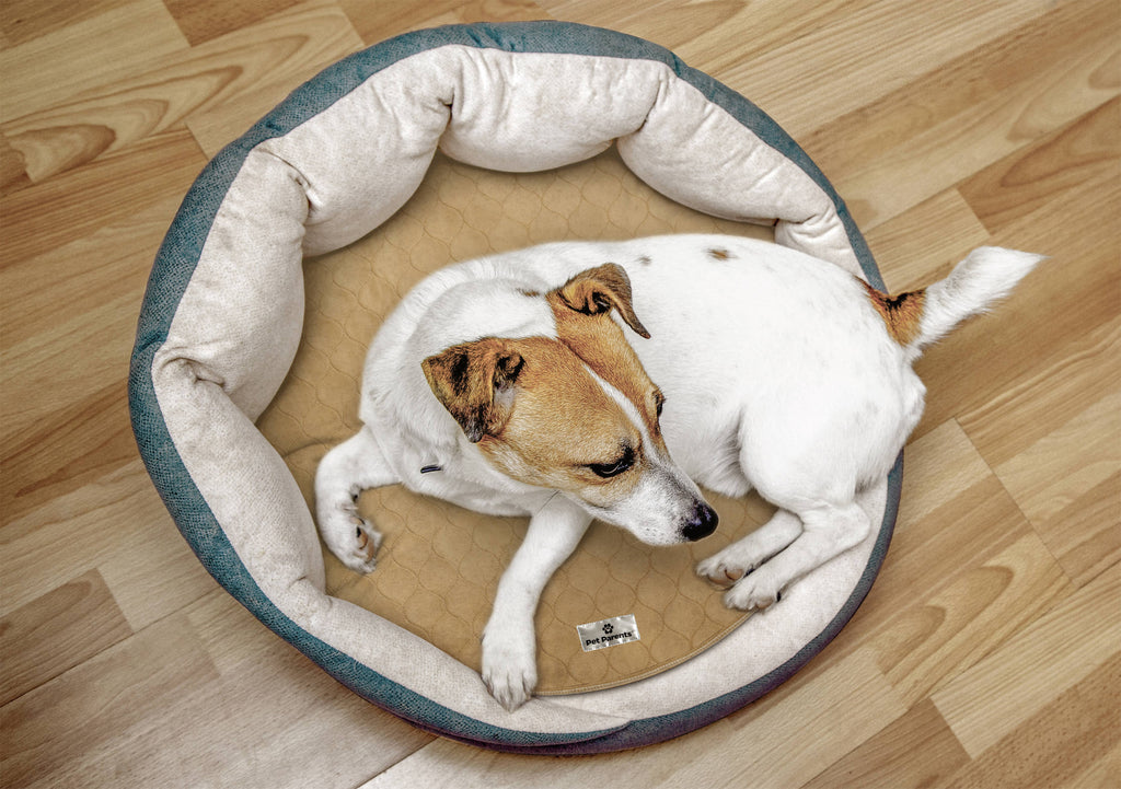 Pet Parents® - Round Pawtect® Pads, Premium Washable Dog Pee Pads - Dog.Dog.Cat.