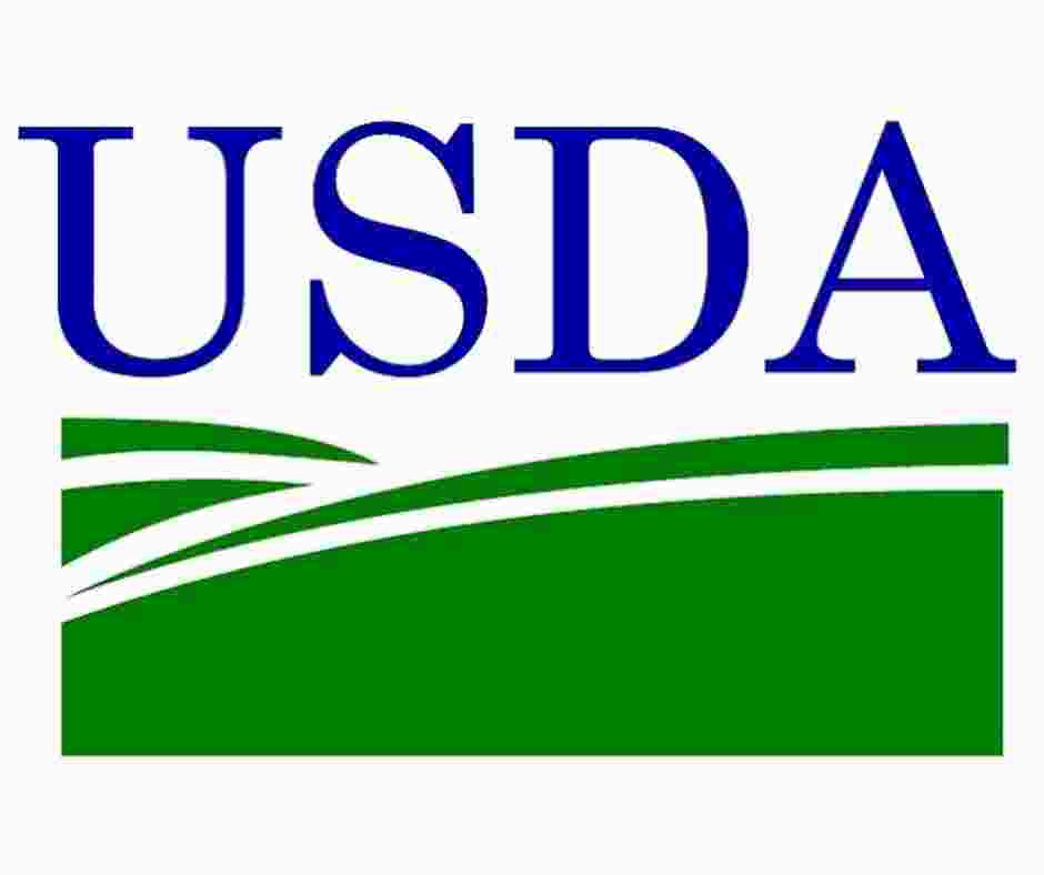 Turkey Hearts - Sliced Freeze Died - Dog.Dog.Cat.