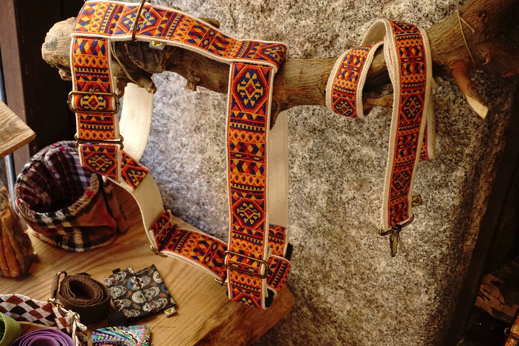 hundsfutter - "Ruben" dog harness and leash - Dog.Dog.Cat.