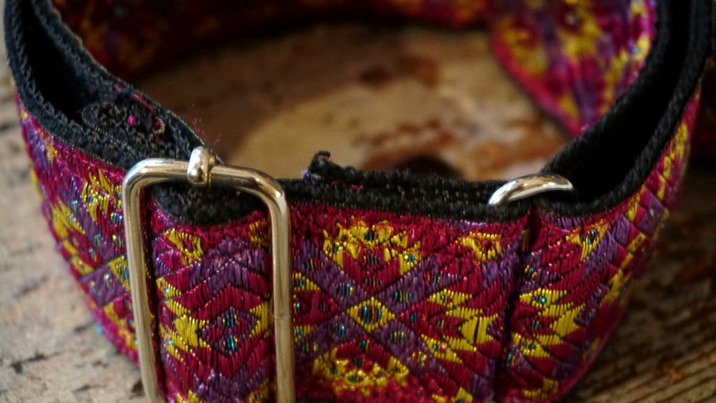 hundsfutter - Extra strong Martingale collar for dogs - Dog.Dog.Cat.