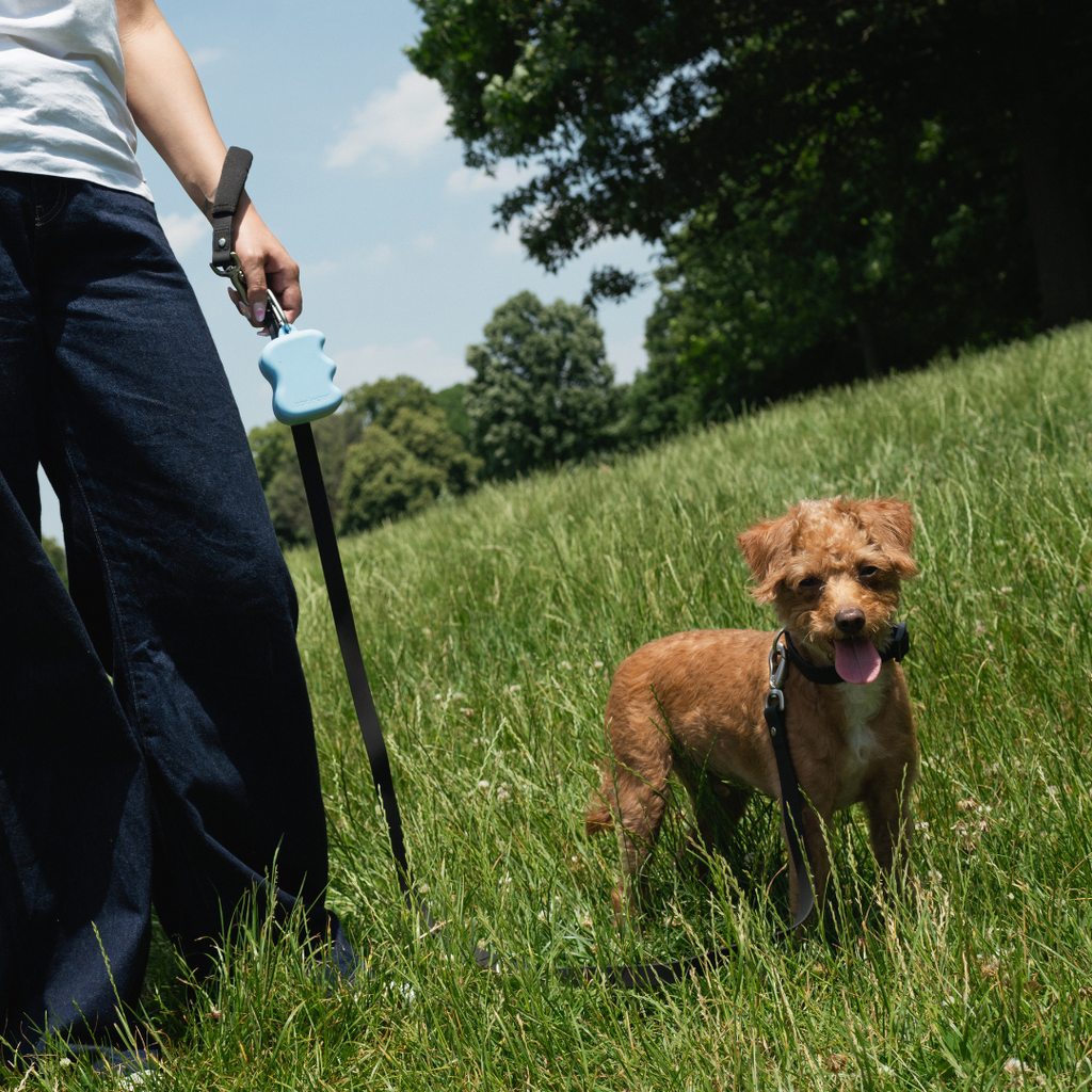 Springer - Silicone Dog Treat Dispenser Pouch - Dog.Dog.Cat.