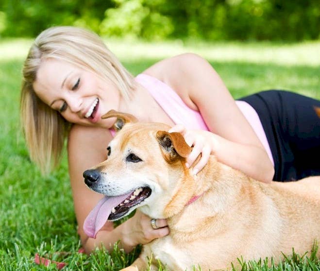 Aroma Paws - 4.5 Oz Repellent and Dog Coat Spray Collection - Dog.Dog.Cat.