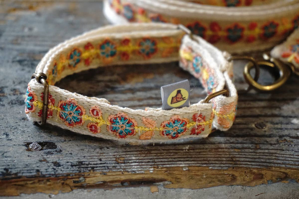 hundsfutter - Fine natural cotton collar for summer with leash - Dog.Dog.Cat.