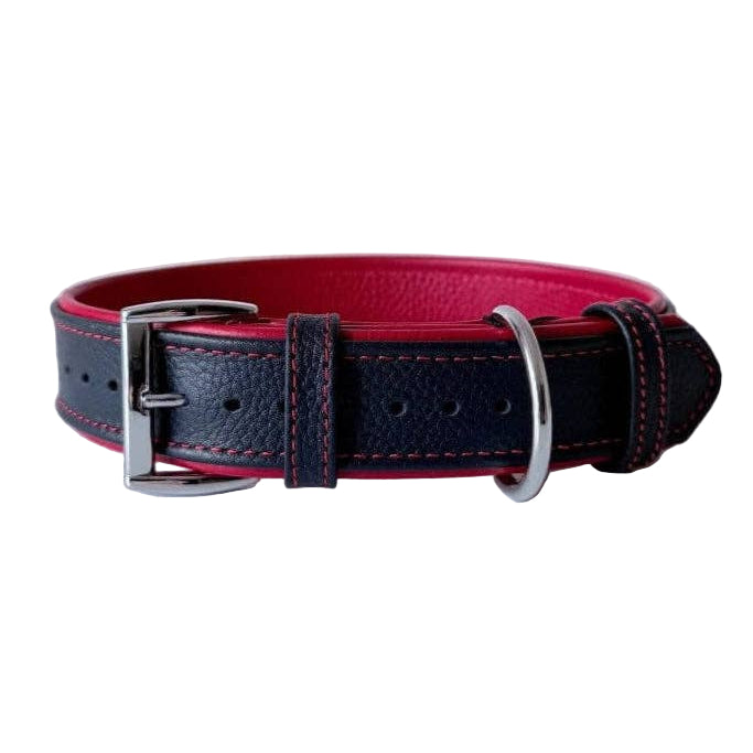 Premium Padded Floater Leather Dog Collar | Navy Blue & Red - Dog.Dog.Cat.