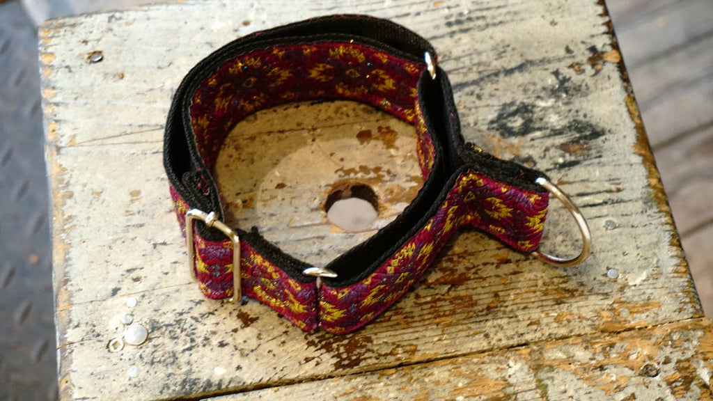 hundsfutter - Extra strong Martingale collar for dogs - Dog.Dog.Cat.
