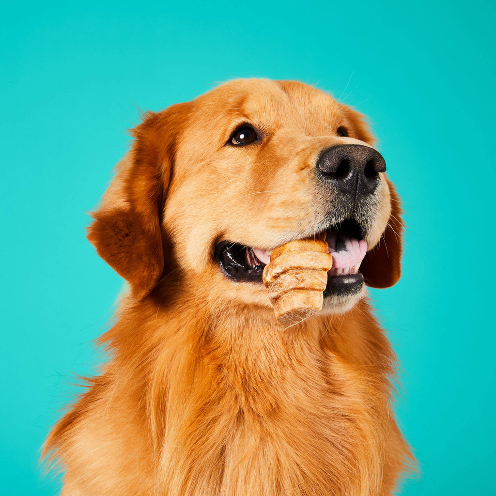 Project Hive Chew Treats Peanut Butter Large 9oz - Dog.Dog.Cat.