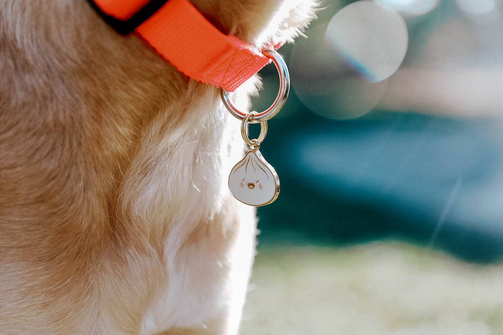 Dumpling Pet ID Tag - Dog.Dog.Cat.