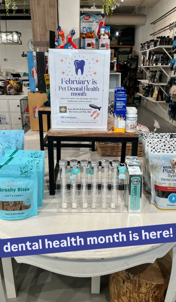 Wag & Bright Supply Co. - Puppy Polish Toothpaste - Filet Mignon (Beef) - Dog.Dog.Cat.