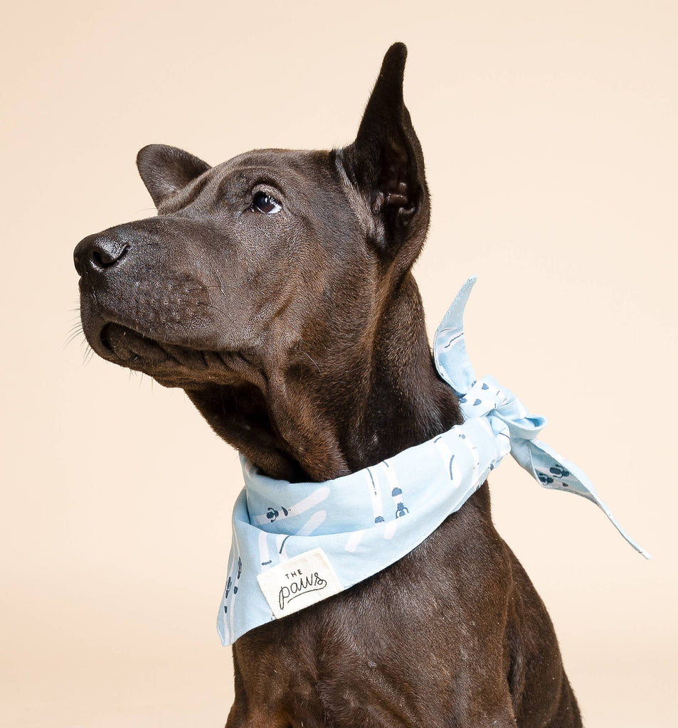The Paws - Ski Winter Dog Bandana - Dog.Dog.Cat.