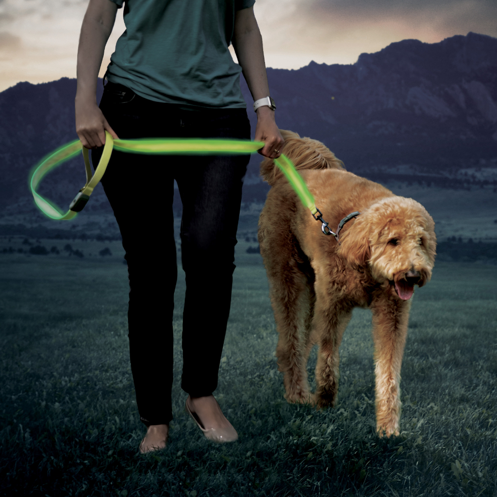 Nite Ize NiteDog Rechargeable LED Leash Red LED - Dog.Dog.Cat.
