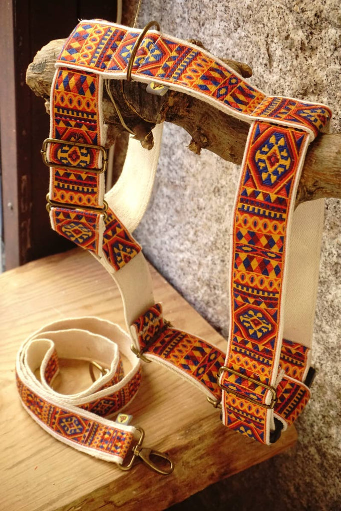 hundsfutter - "Ruben" dog harness and leash - Dog.Dog.Cat.