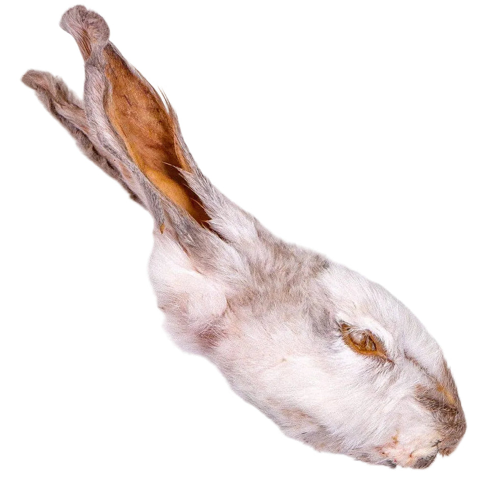 The Rabbit Tap Rabbit Heads with Ears | Single Ingredient Dog & Cat Treat
