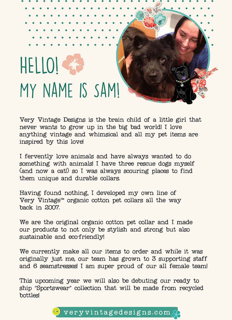 Very Vintage Designs - Feelin' Squirrely - Mint Green Squirrel Fall Autumn Snap Dog & Cat Bandana - Dog.Dog.Cat.