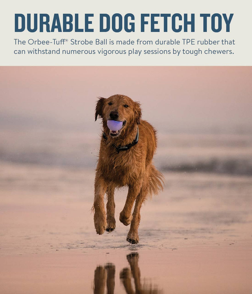 Planet Dog Orbee-Tuff Strobe Ball Light Up Dog Toy White - Dog.Dog.Cat.