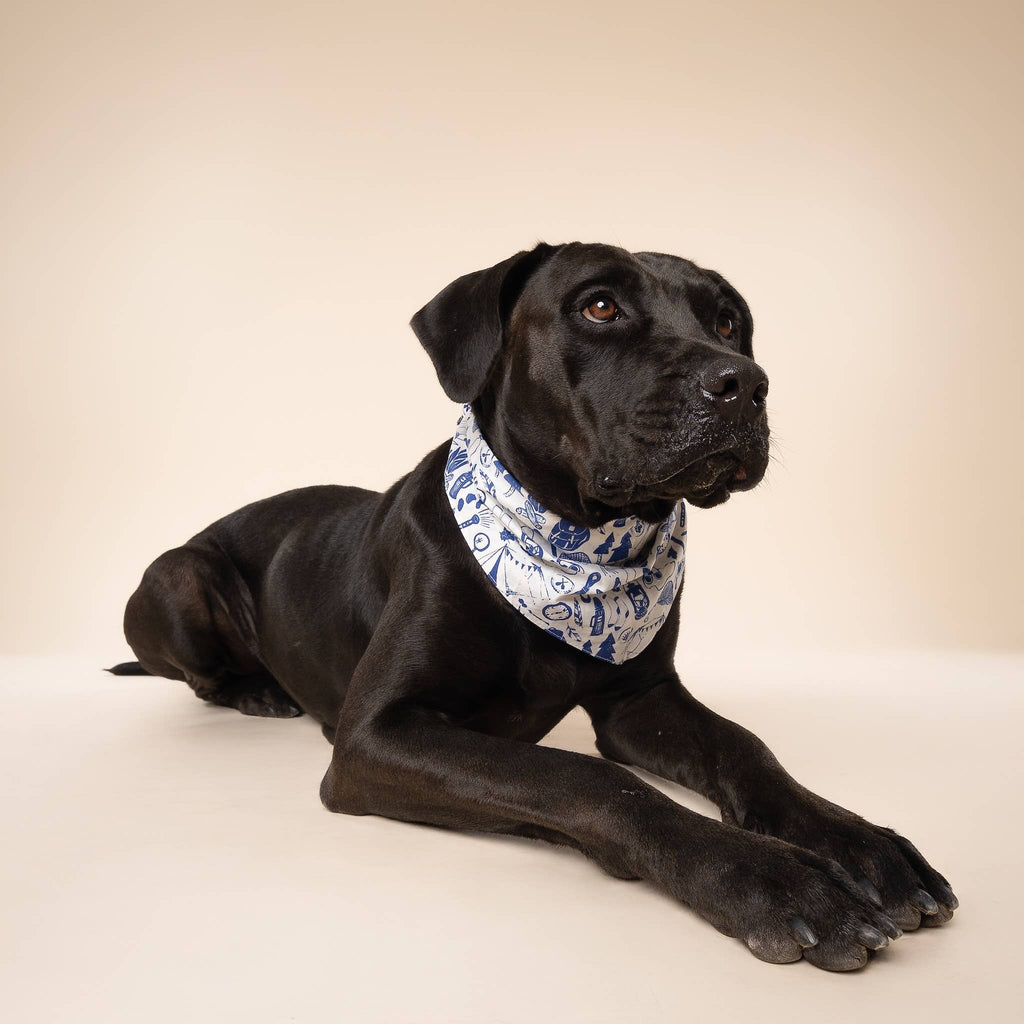 The Paws - Wander Dog Bandana - Dog.Dog.Cat.