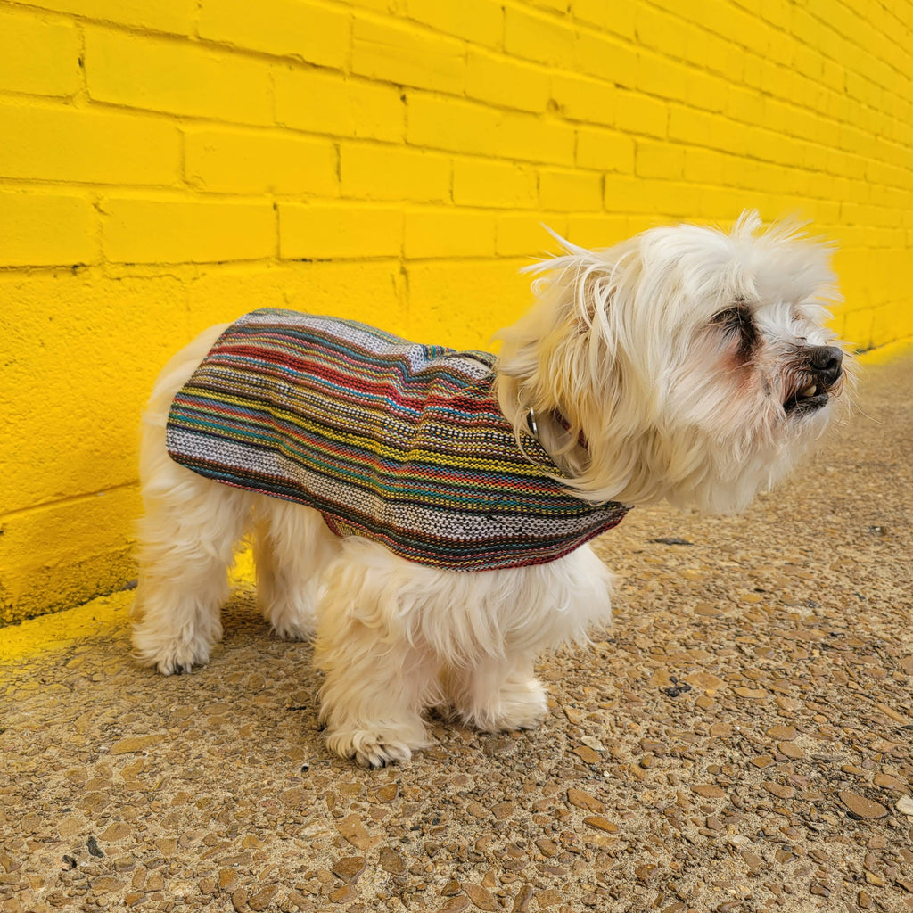 Walking Palm - 100% Hand-Woven Dog Poncho - Bohemian Multicolor - Dog.Dog.Cat.