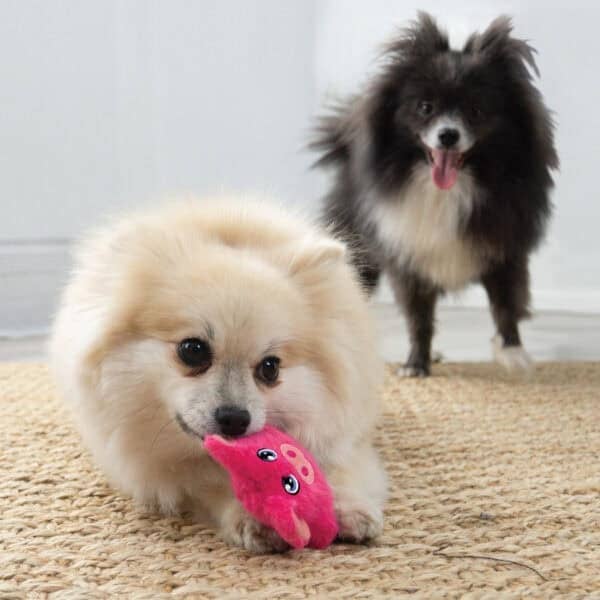 KONG® Snuzzles Mini Animal Dog Plush Toy - Dog.Dog.Cat.