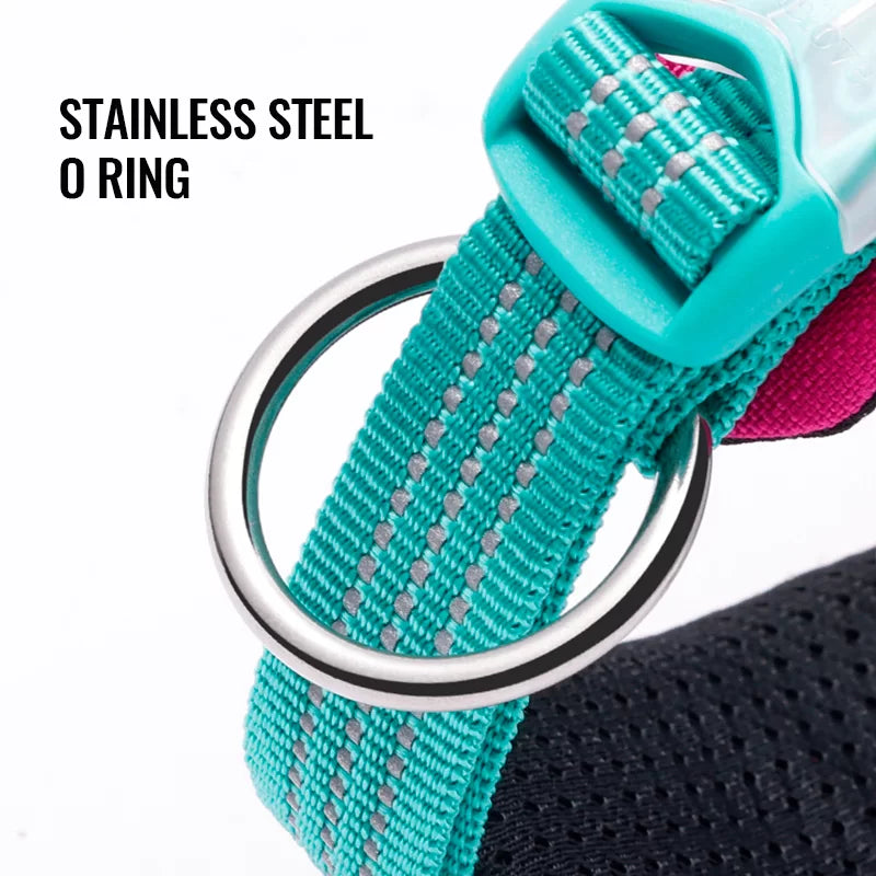 True Love Dog Collar TLC5611 - Coral Pink, Olive Green, Orange Ochre - Dog.Dog.Cat.