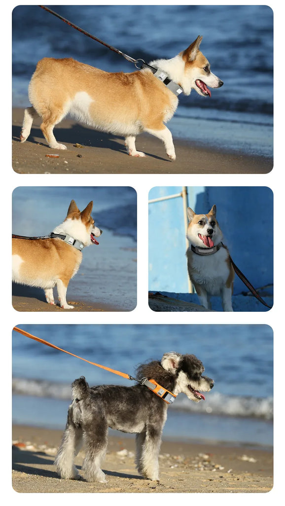 True Love Dog Collar TLC5611 - Coral Pink, Olive Green, Orange Ochre - Dog.Dog.Cat.