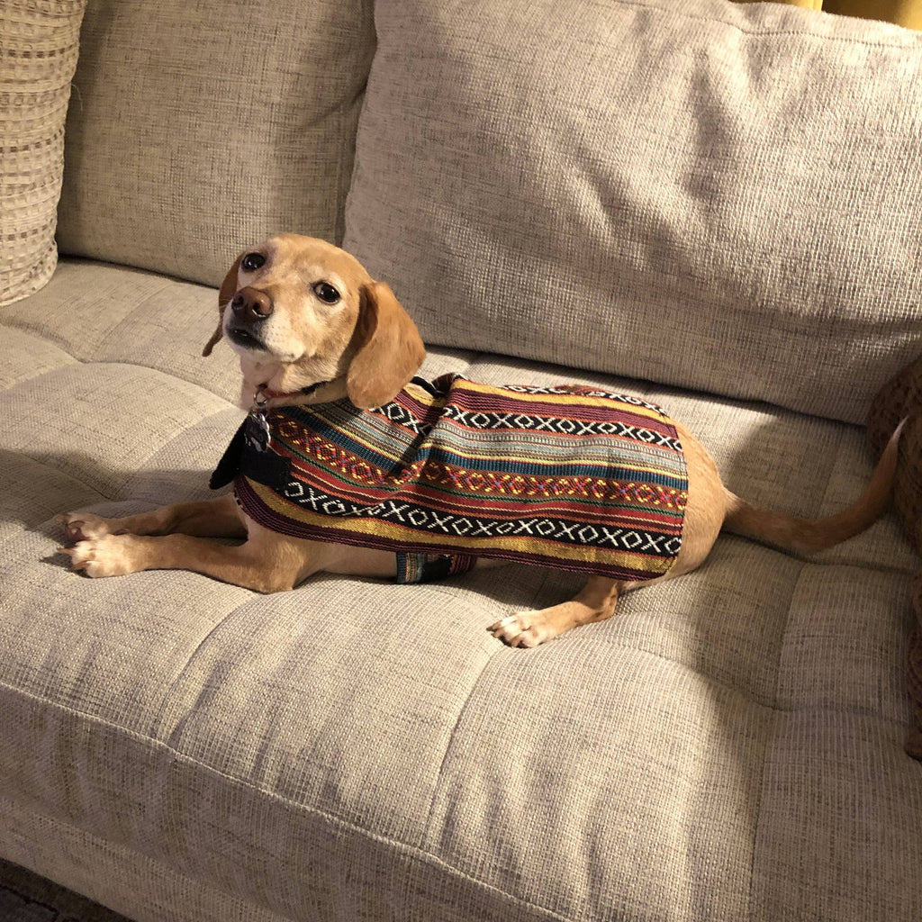 Walking Palm - 100% Hand-Woven Dog Poncho - Sonora - Dog.Dog.Cat.