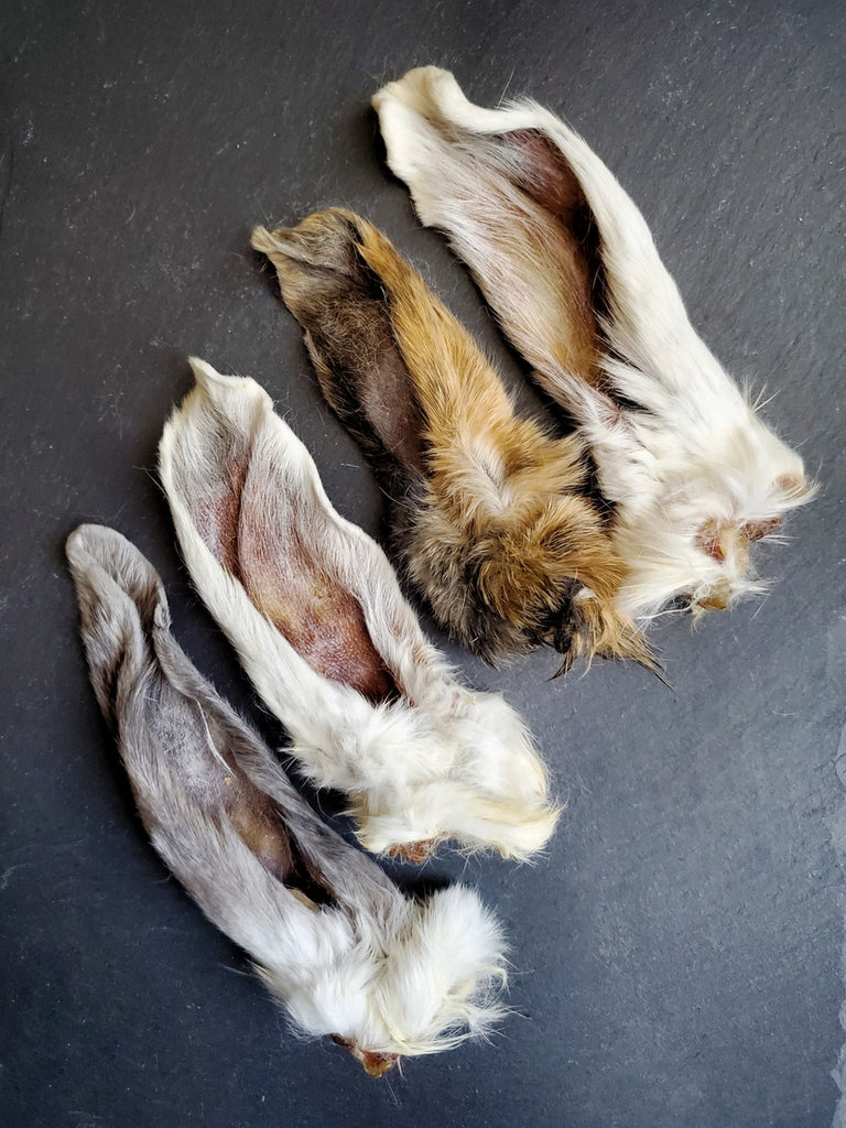Rabbit Ear (Each) Bulk Dog Chew Natural Single Ingredient - Single Ear - Dog.Dog.Cat.