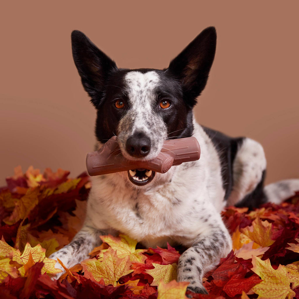 BARK Fall Fetch Stick Super Chewer Dog Toy - Dog.Dog.Cat.