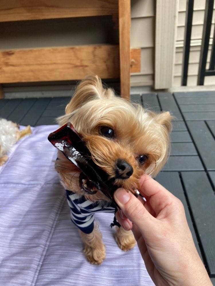 Mighty Marrows Collagen Dental Chew - Bacon - SM/LG - Dog.Dog.Cat.