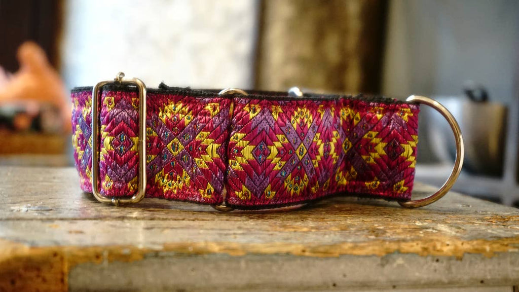 hundsfutter - Extra strong Martingale collar for dogs - Dog.Dog.Cat.