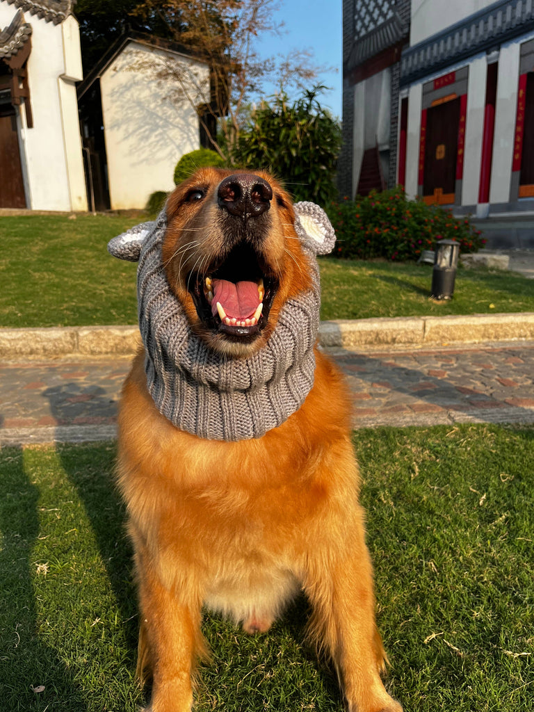 Zoo Snoods - Koala Dog Snood - Dog.Dog.Cat.