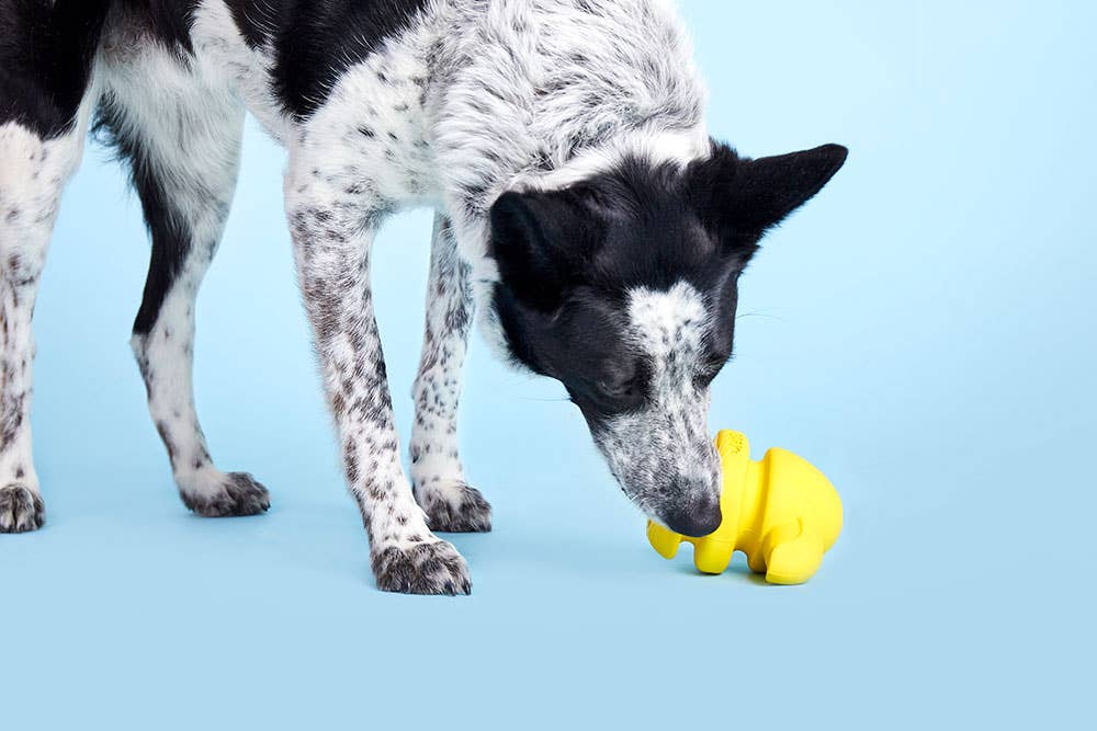 BARK Fowl Play - Dog.Dog.Cat.